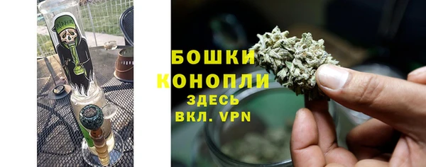 стафф Богданович