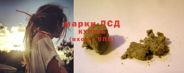 стафф Богданович