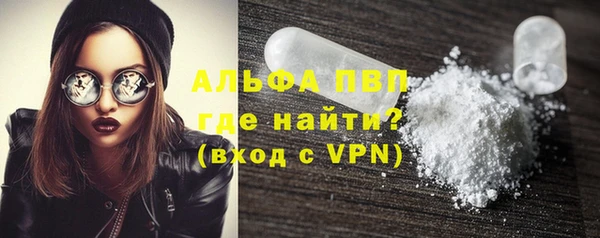 стафф Богданович
