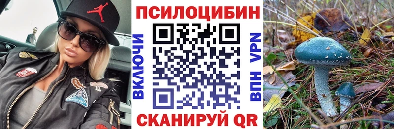 Псилоцибиновые грибы прущие грибы  купить наркотики сайты  Чайковский 