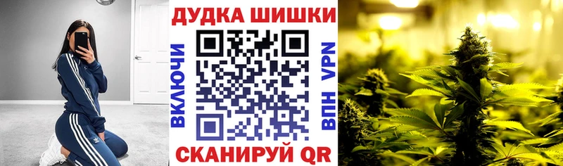 Канабис OG Kush  Чайковский 